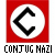 Conjugaizon Nazi